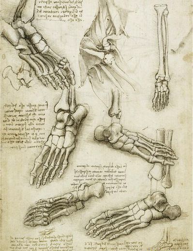 da-vinci-anatomical-study-of-feet.jpg