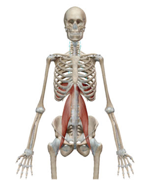 スクリーンショット 2017-04-07 13.59.38.png