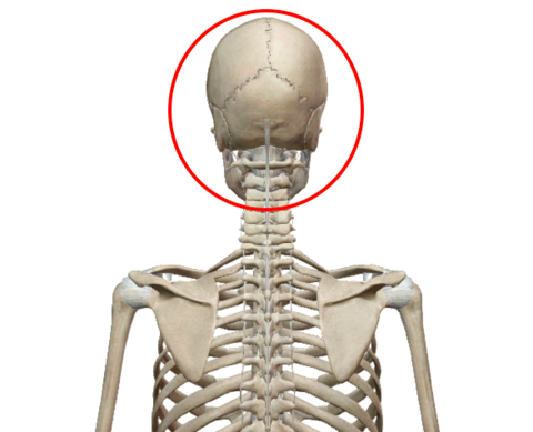 スクリーンショット 2017-05-06 22.37.58 のコピー.png