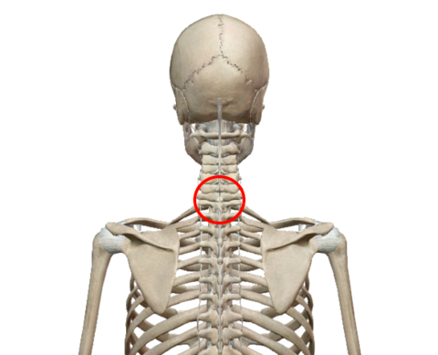 スクリーンショット 2017-05-06 22.37.58.png